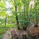 Dom wakacyjny Lushwood A Forest Retreat Antoing