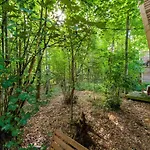 Lushwood A Forest Retreat * Antoing