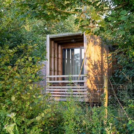 Dom wakacyjny Lushwood A Forest Retreat *