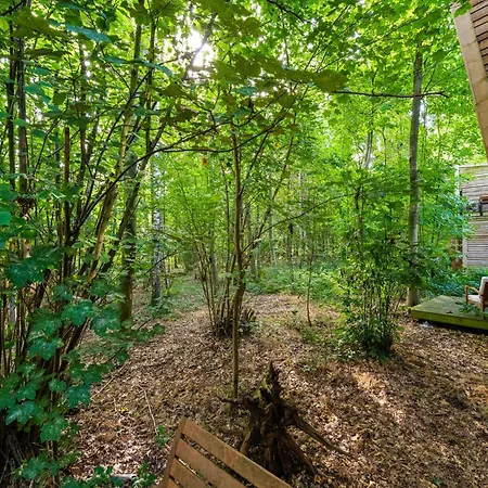 Lushwood A Forest Retreat * Antoing
